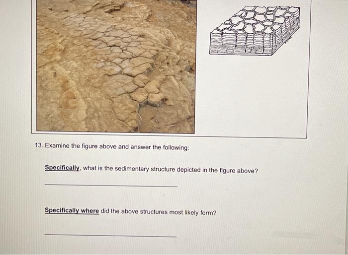 Solved 13. Examine the figure above and answer the | Chegg.com