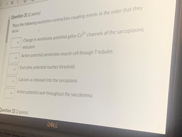 Solved Question 31 (2 points) Place the following excitation