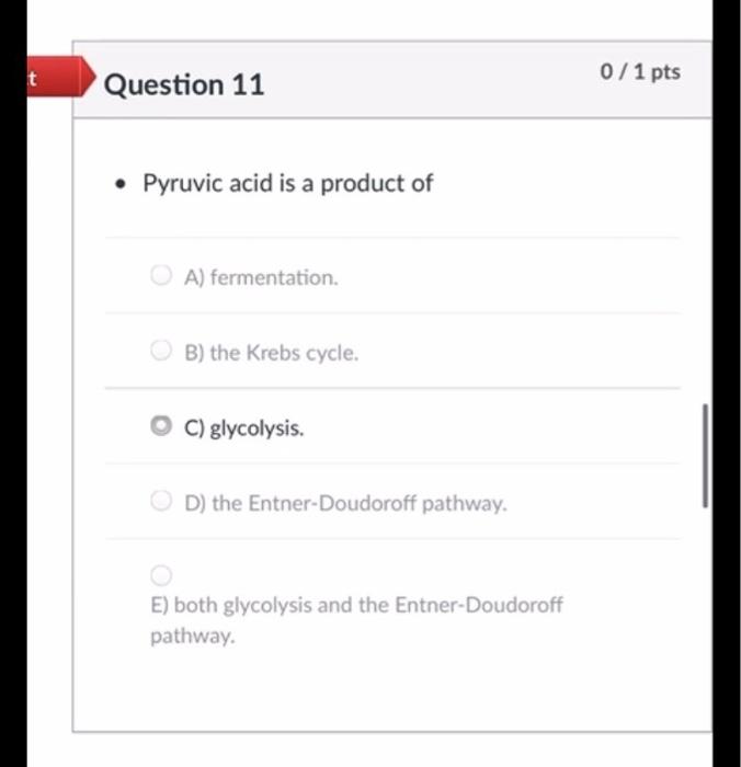Solved Got this multiple choice question wrong, want to know | Chegg.com