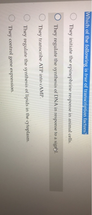 Solved Which Of The Following Is True Of Transcription | Chegg.com Solved Which Of The Following Is True Of Transcription | Chegg.com