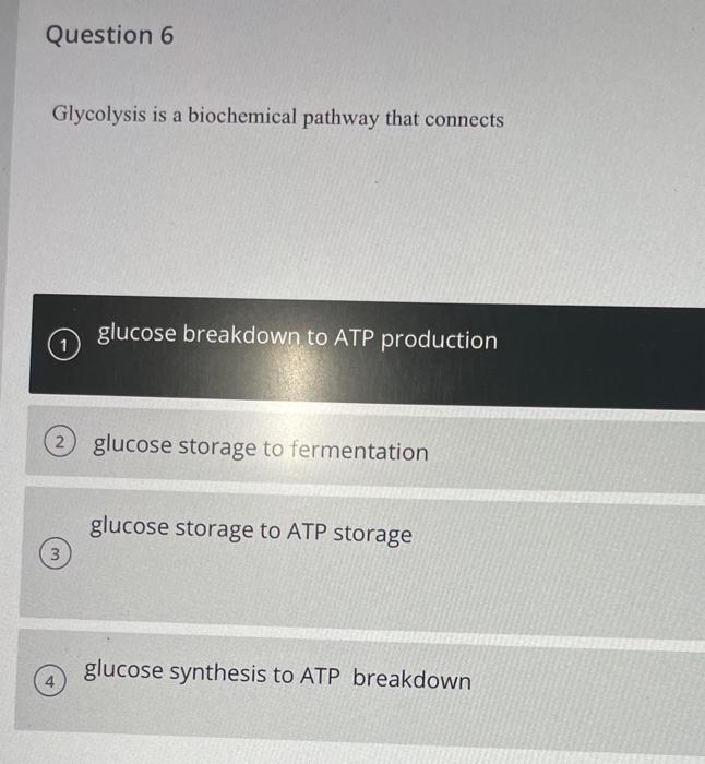 Solved could you please check my answers and explain then if | Chegg.com
