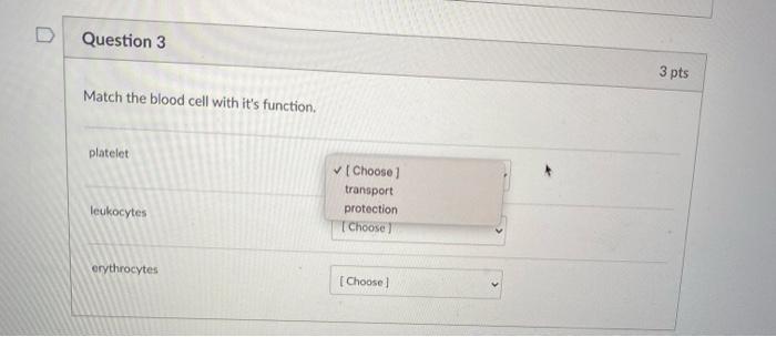 Solved land Othe Question 2 1 pts Which of the following is | Chegg.com