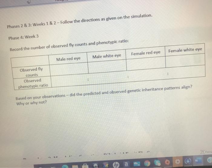 Solved Procedure 2 Mendelian Xlinked Fruit Fly