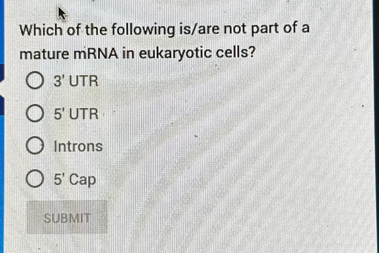 Solved Which of the following is/are not part of a mature | Chegg.com