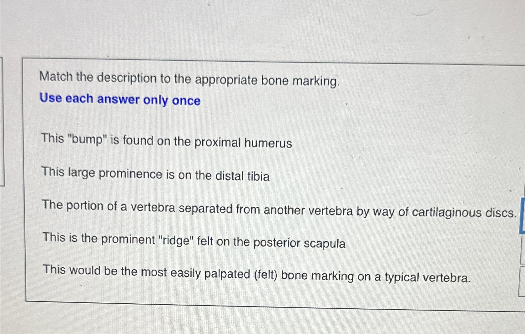 Solved Match The Description To The Appropriate Bone Chegg Com   Image