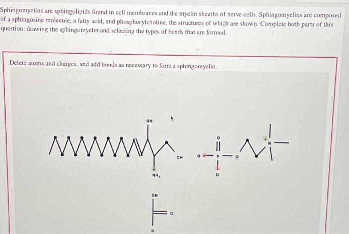Solved Sphingomyelins are sphingolipids found in cell | Chegg.com