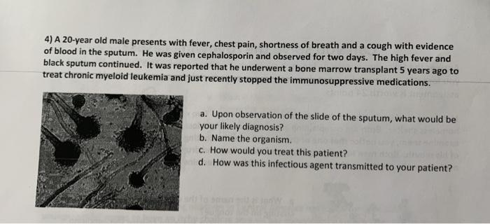 Solved 4) A 20-year old male presents with fever, chest | Chegg.com