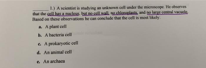 Solved 1.) A scientist is studying an unknown cell under the | Chegg.com