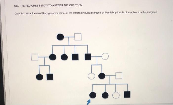 Solved USE THE PEDIGREE BELOW TO ANSWER THE QUESTION | Chegg.com