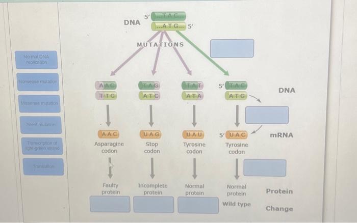 Solved match | Chegg.com