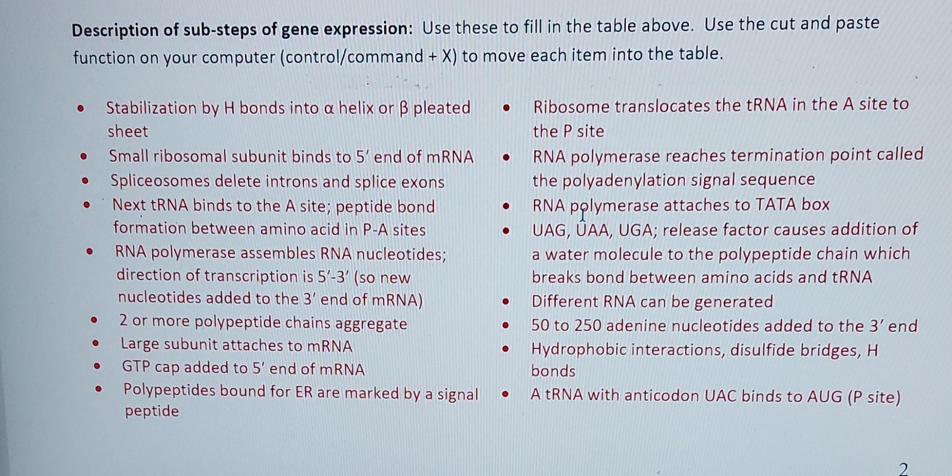 Solved Part Two: The Steps of Gene Expression In the process | Chegg.com
