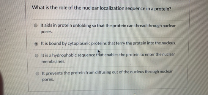 Solved What is the role of the nuclear localization sequence | Chegg.com