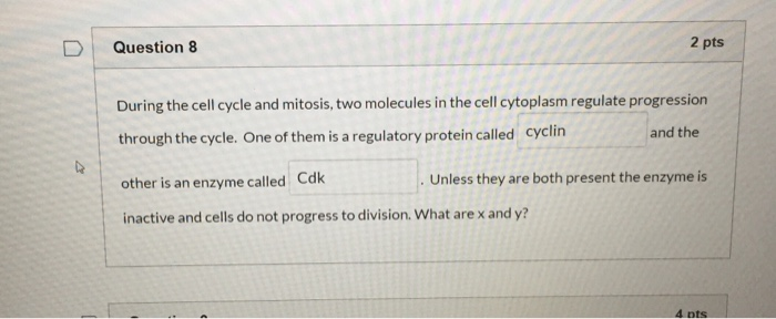 Solved D Question 8 2 pts During the cell cycle and mitosis, | Chegg.com