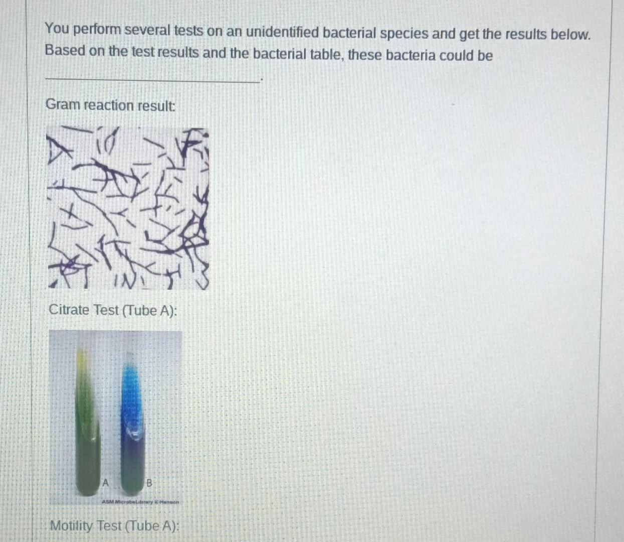 Solved You perform several tests on an unidentified | Chegg.com