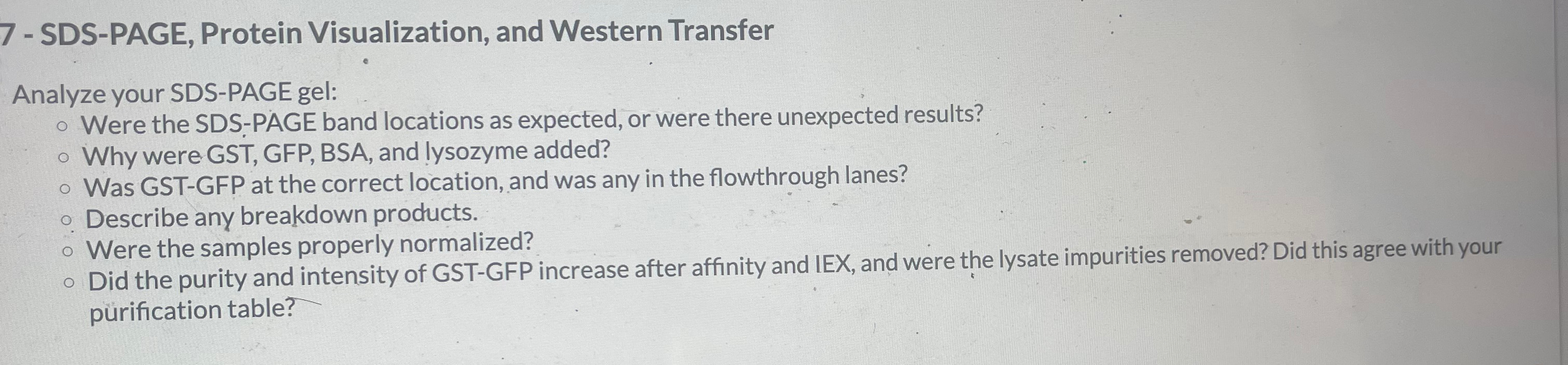 Solved 7 - ﻿SDS-PAGE, Protein Visualization, and Western | Chegg.com