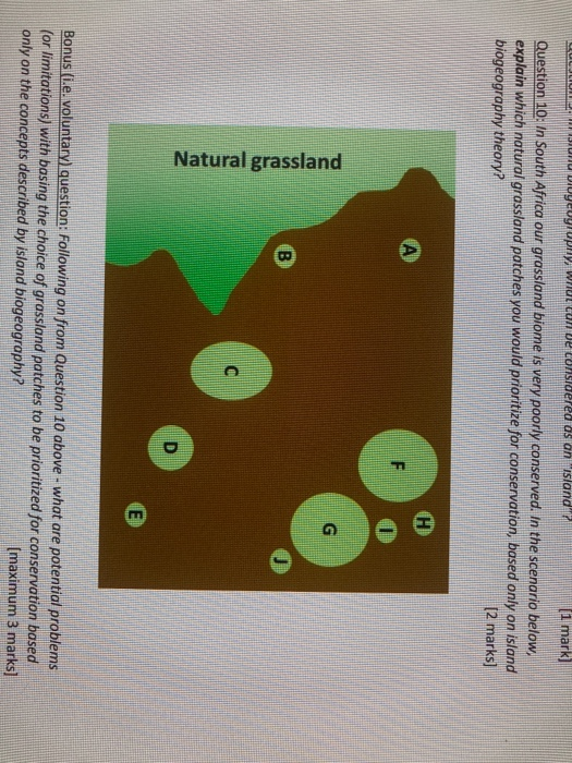 Solved Diwy.UY UPLY, WHUL Lun De considered as an island 1