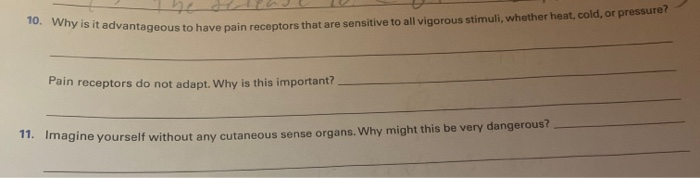 Solved 10 Why Is It Advantageous To Have Pain Receptors Chegg Com