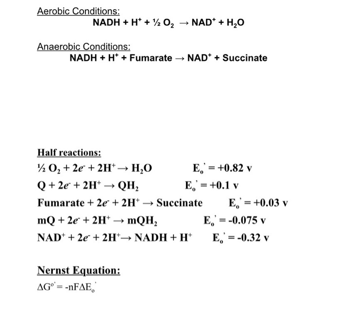 Solved Site Of Entry Of Electron From Nadh And Fadh2 Suc Chegg Com