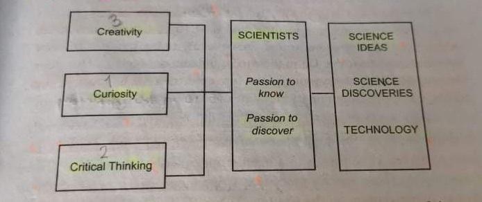 Creativity SCIENTISTS SCIENCE IDEAS Passion to know SCIENCE DISCOVERIES Curiosity Passion to discover TECHNOLOGY Critical Thi