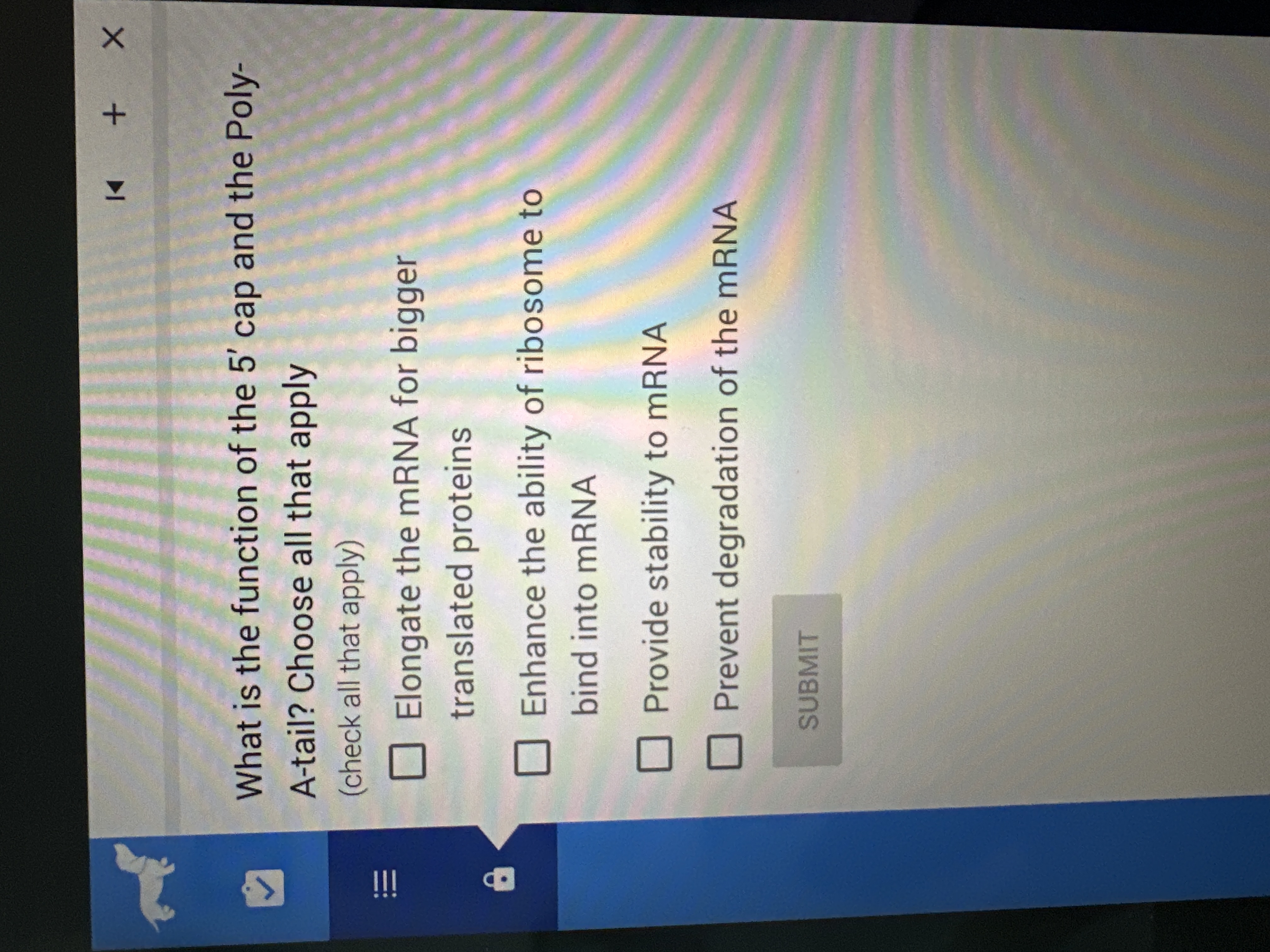 Solved What is the function of the 5' ﻿cap and the | Chegg.com