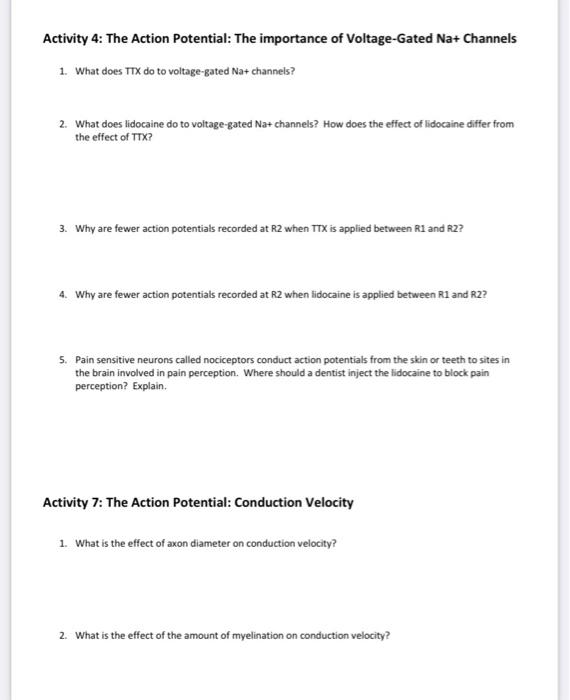 Solved Activity 4: The Action Potential: The importance of | Chegg.com