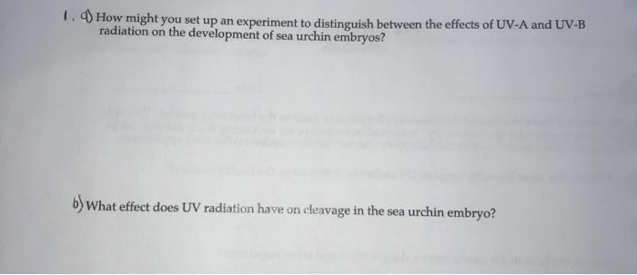 Solved 1. How might you set up an experiment to distinguish | Chegg.com