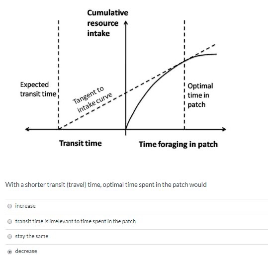 Solved Question 5 1 pts Optimality models to explain animal