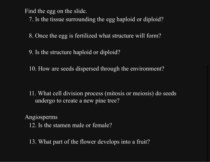 Solved Plant Lab Learning Objectives Seedless Plants