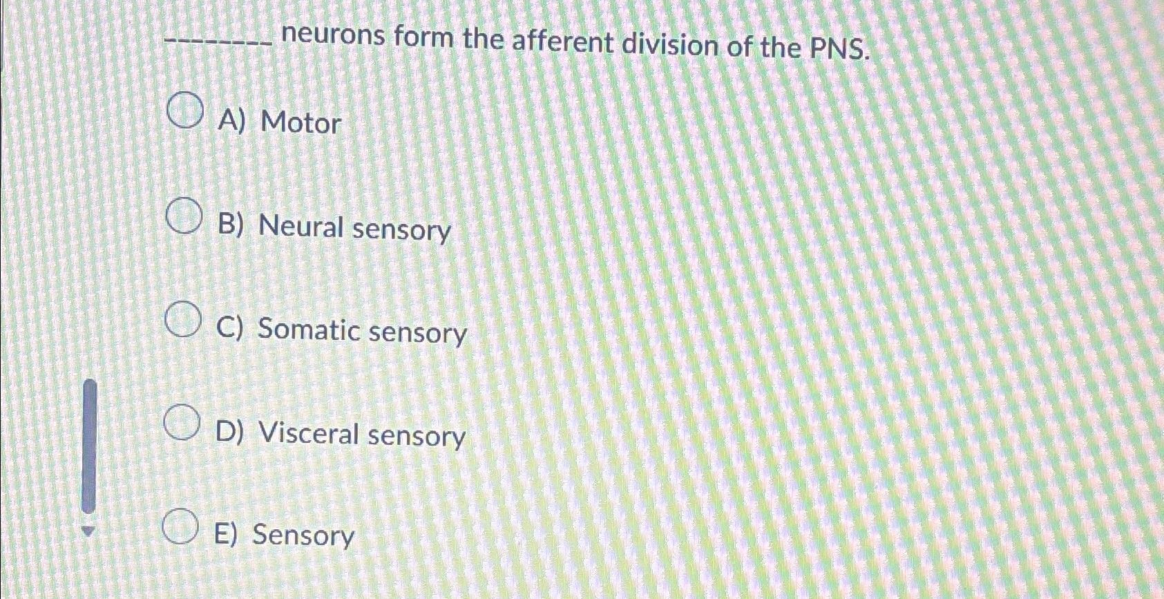 pn sensory function case study