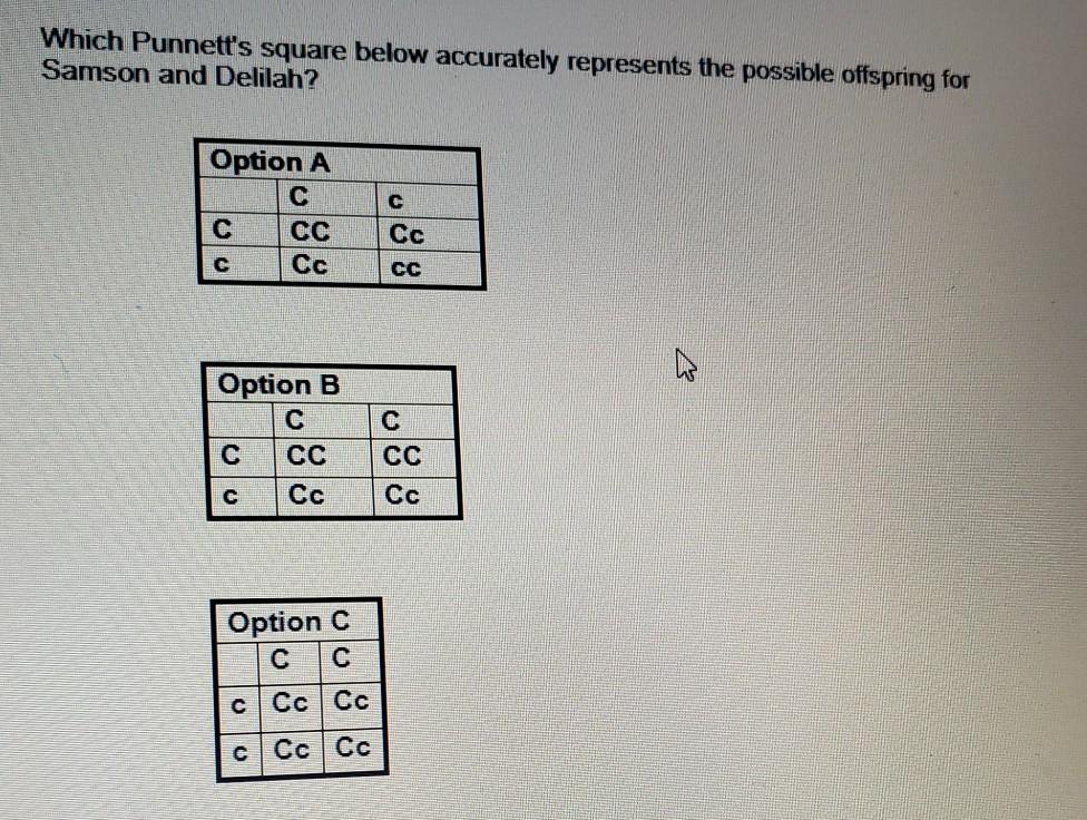 Which Punnett's square below accurately represents | Chegg.com