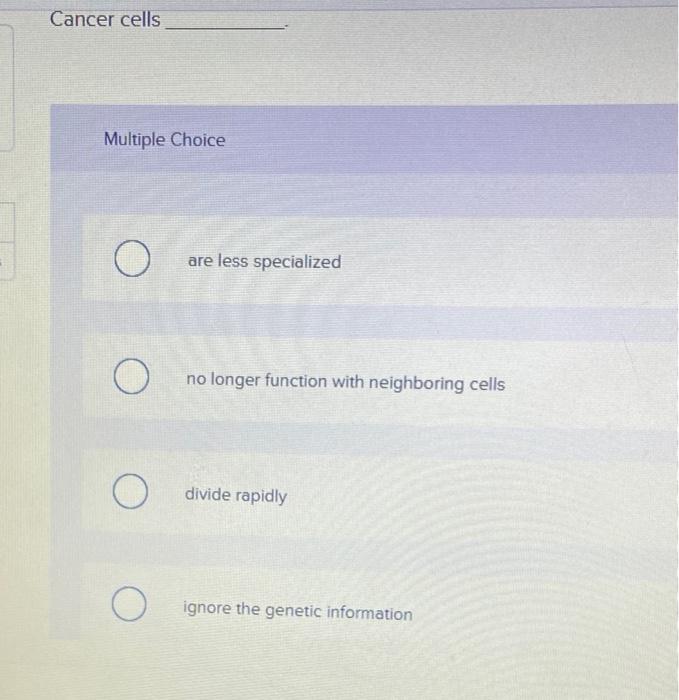 solved-which-of-the-following-statements-describes-dna-chegg