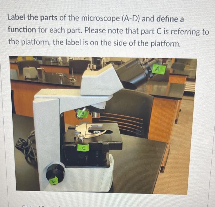 Label the parts of the microscope (A-D) and define a function for each part. Please note that part \( \mathrm{C} \) is referr