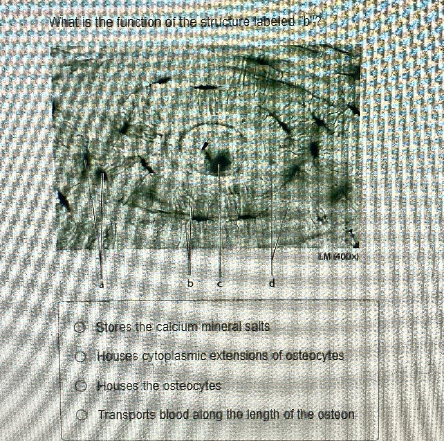 Solved What Is The Function Of The Structure Labeled | Chegg.com