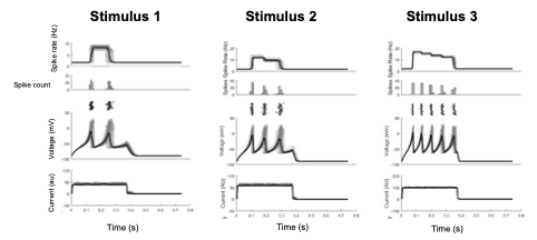 Solved This figure shows action potentials from a simulated | Chegg.com