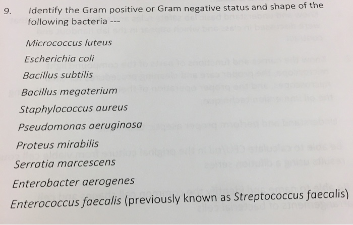 Solved 9 Identify The Gram Positive Or Gram Negative Sta Chegg Com