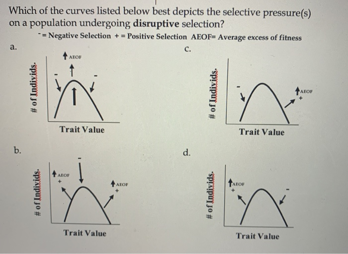 Solved Which of the curves listed below best depicts the | Chegg.com