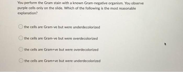 Solved You perform the Gram stain with a known Gram-negative | Chegg.com