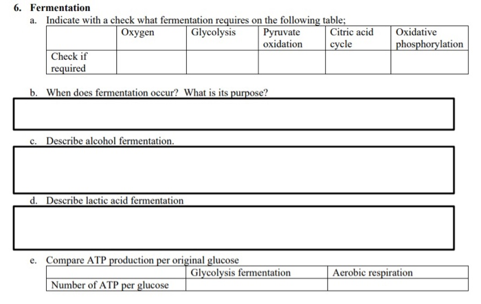 Solved 6. Fermentation a. Indicate with a check what | Chegg.com