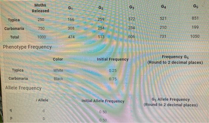 Solved How do I calculate the phenotype frequency, allele | Chegg.com