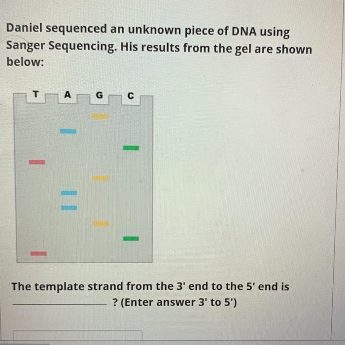 Solved Which base compositions for single-stranded RNA are | Chegg.com