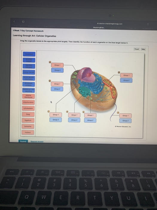 Solved Week 7 Key Concept Homework Learning Through Art Chegg Com
