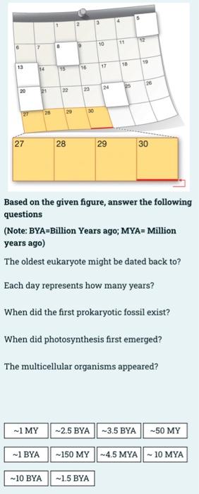 Solved Based On The Given Figure, Answer The Following | Chegg.com