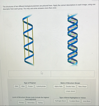 Solved The structures of two different biological polymers | Chegg.com