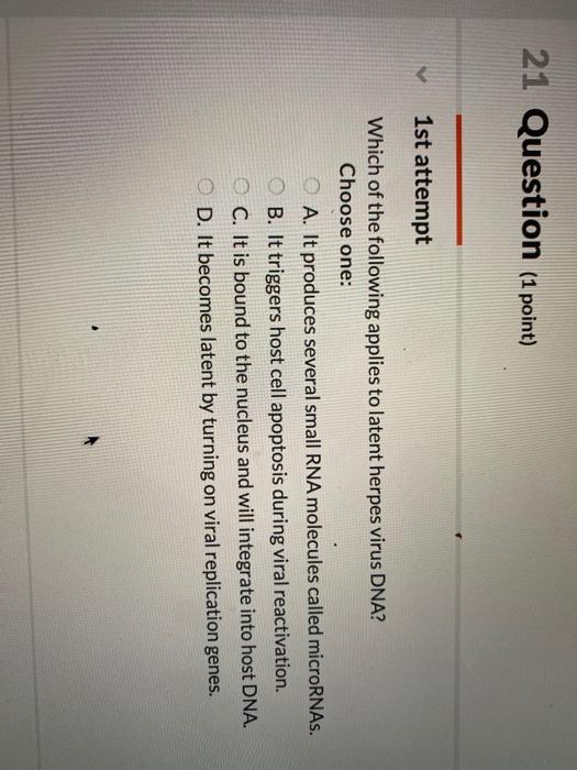 08 Question (1 point) e 1st attempt Which of the | Chegg.com