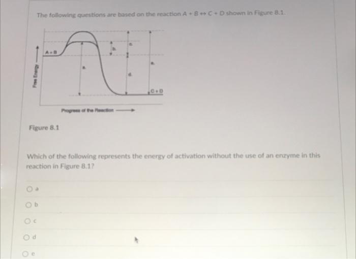 Solved The following questions are based on the reaction | Chegg.com