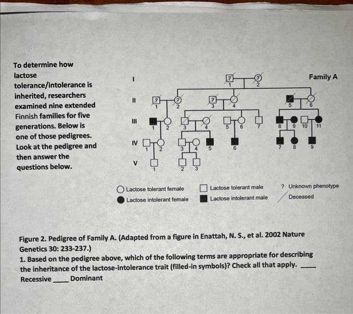 Solved To determine how lactose tolerance/intolerance is