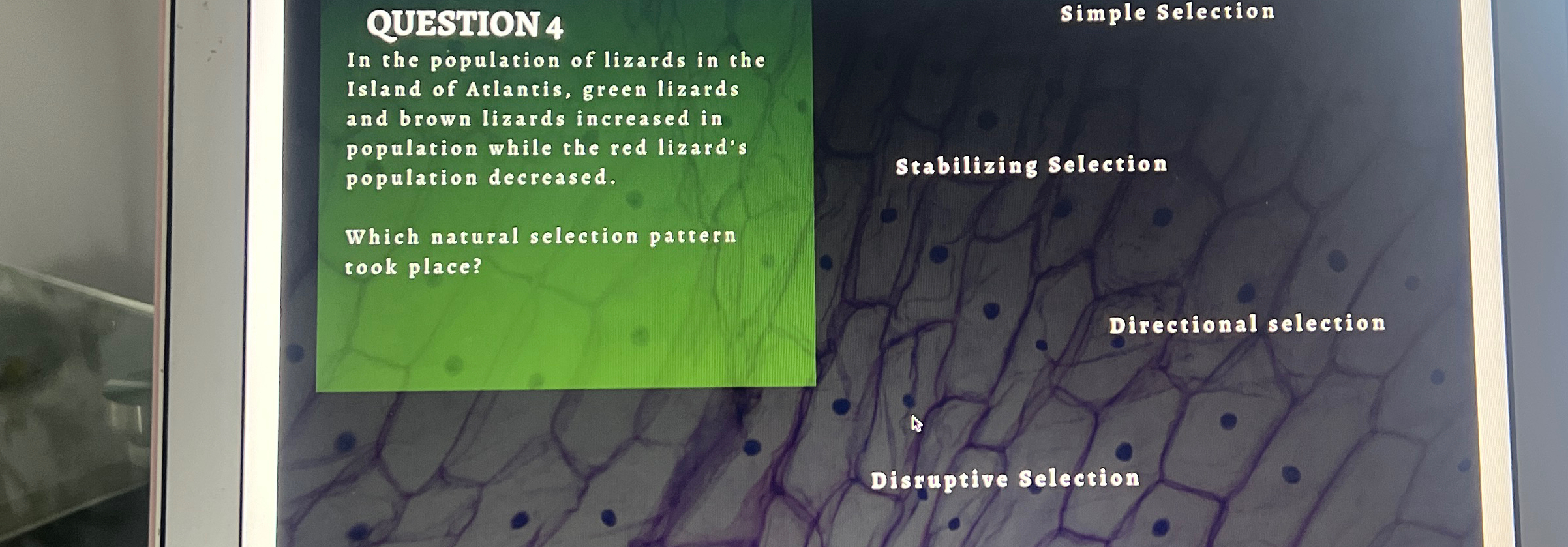 Solved OUBSTION4Simple SelectionIn the population of lizards | Chegg.com