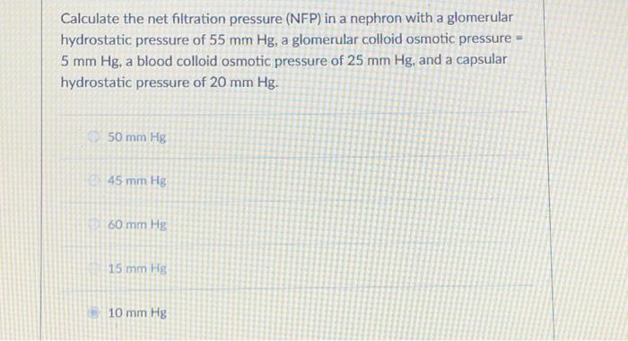 Solved Which of the following forms the filtration barrier | Chegg.com
