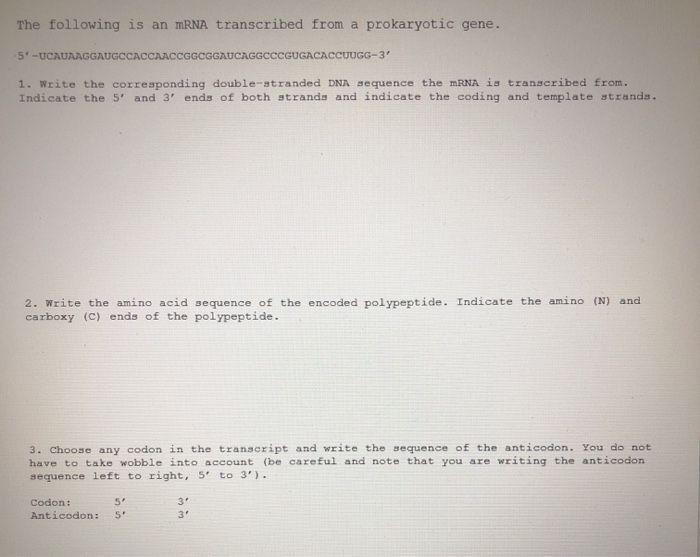 Solved The following is an mRNA transcribed from a | Chegg.com