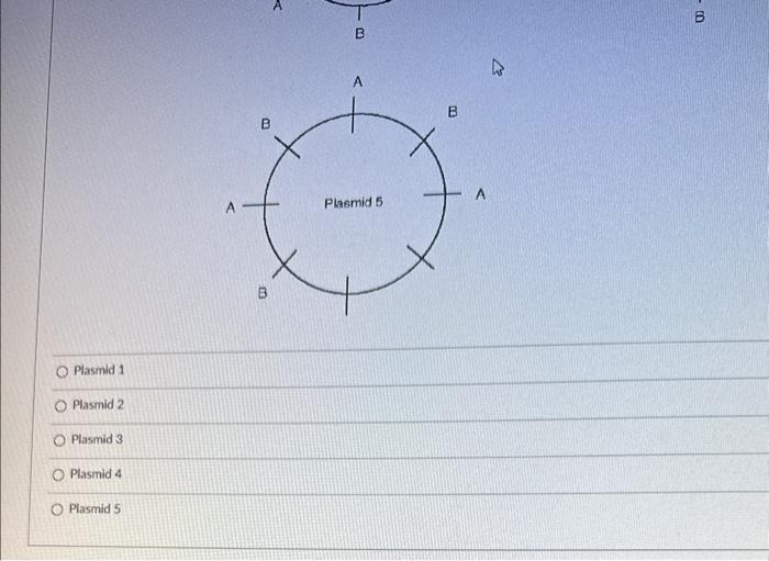 Solved Which of the following plasmids is compatible with | Chegg.com